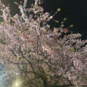 ヒメ日記 2026/03/15 21:50 投稿 月見 BBW錦糸町店