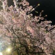 ヒメ日記 2026/03/18 12:45 投稿 月見 BBW錦糸町店