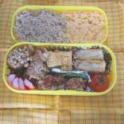 ヒメ日記 2026/04/10 07:30 投稿 月見 BBW錦糸町店