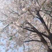 ヒメ日記 2025/04/05 14:00 投稿 カナメ Club 妻