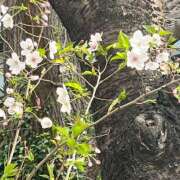 ヒメ日記 2026/03/30 18:38 投稿 カナメ Club 妻