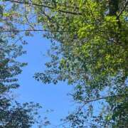 ヒメ日記 2026/04/13 23:04 投稿 カナメ Club 妻