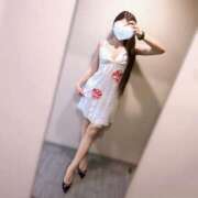 ヒメ日記 2025/04/01 18:21 投稿 一条 まりか 横浜貴楼館