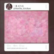 ヒメ日記 2025/07/12 00:11 投稿 一条 まりか 横浜貴楼館