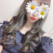 ヒメ日記 2024/12/21 13:02 投稿 一条 まりか 東京貴楼館