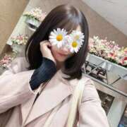 ヒメ日記 2025/03/09 15:02 投稿 一条 まりか 東京貴楼館