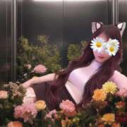 ヒメ日記 2025/06/05 20:03 投稿 一条 まりか 東京貴楼館