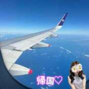 ヒメ日記 2025/10/07 12:23 投稿 一条 まりか 東京貴楼館