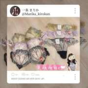 ヒメ日記 2025/11/29 23:54 投稿 一条 まりか 東京貴楼館