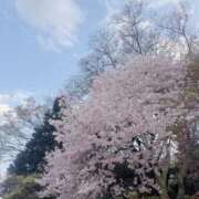 ヒメ日記 2025/04/06 12:48 投稿 みこと 深海魚