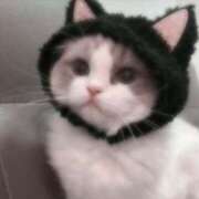 ヒメ日記 2025/03/14 11:48 投稿 つきな 京都BOOK MARK（ブックマーク）