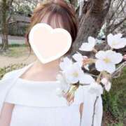 ヒメ日記 2025/04/01 11:18 投稿 つきな 京都BOOK MARK（ブックマーク）