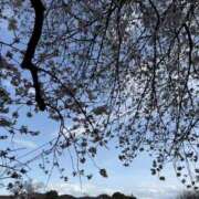 ヒメ日記 2025/04/02 12:28 投稿 つきな 京都BOOK MARK（ブックマーク）