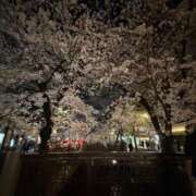 ヒメ日記 2025/05/04 20:16 投稿 つきな 京都BOOK MARK（ブックマーク）