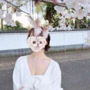 ヒメ日記 2025/05/28 15:18 投稿 つきな 京都BOOK MARK（ブックマーク）