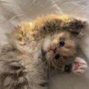 ヒメ日記 2025/06/13 15:58 投稿 つきな 京都BOOK MARK（ブックマーク）