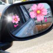 ヒメ日記 2025/03/04 21:06 投稿 はる 福島美女図鑑