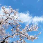 ヒメ日記 2025/04/07 18:36 投稿 はる 福島美女図鑑