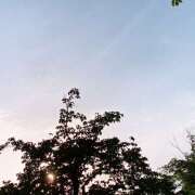 はる こんばんは 福島美女図鑑