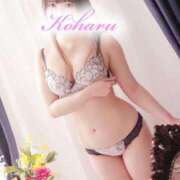 ヒメ日記 2024/12/26 19:18 投稿 こはる 水戸人妻花壇