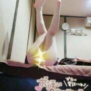 ヒメ日記 2025/04/24 11:21 投稿 めろん マリン土浦本店