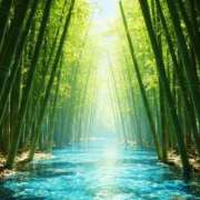 ヒメ日記 2025/12/09 06:36 投稿 星野 りお こあくまな熟女たち 千葉店（KOAKUMAグループ）