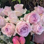 ヒメ日記 2025/02/25 17:08 投稿 笹本百花(ささもとももか) 五十路マダムエクスプレス厚木店(カサブランカグループ)