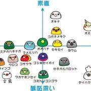 ヒメ日記 2025/02/27 21:18 投稿 笹本百花(ささもとももか) 五十路マダムエクスプレス厚木店(カサブランカグループ)