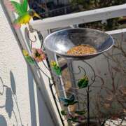 ヒメ日記 2025/03/01 21:18 投稿 笹本百花(ささもとももか) 五十路マダムエクスプレス厚木店(カサブランカグループ)