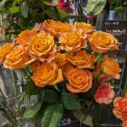 ヒメ日記 2025/03/09 13:40 投稿 笹本百花(ささもとももか) 五十路マダムエクスプレス厚木店(カサブランカグループ)