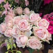 ヒメ日記 2025/03/17 20:22 投稿 笹本百花(ささもとももか) 五十路マダムエクスプレス厚木店(カサブランカグループ)