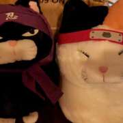 ヒメ日記 2025/11/16 09:12 投稿 笹本百花(ささもとももか) 五十路マダムエクスプレス厚木店(カサブランカグループ)