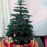 ヒメ日記 2025/12/25 10:46 投稿 笹本百花(ささもとももか) 五十路マダムエクスプレス厚木店(カサブランカグループ)