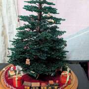 ヒメ日記 2025/12/26 06:24 投稿 笹本百花(ささもとももか) 五十路マダムエクスプレス厚木店(カサブランカグループ)