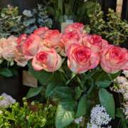 ヒメ日記 2026/01/02 07:50 投稿 笹本百花(ささもとももか) 五十路マダムエクスプレス厚木店(カサブランカグループ)