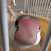 ヒメ日記 2026/01/05 13:26 投稿 笹本百花(ささもとももか) 五十路マダムエクスプレス厚木店(カサブランカグループ)