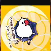 ヒメ日記 2026/01/21 15:44 投稿 笹本百花(ささもとももか) 五十路マダムエクスプレス厚木店(カサブランカグループ)