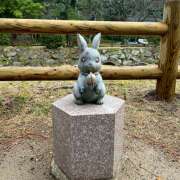 ヒメ日記 2026/02/03 11:18 投稿 笹本百花(ささもとももか) 五十路マダムエクスプレス厚木店(カサブランカグループ)