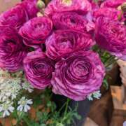 ヒメ日記 2026/02/28 21:28 投稿 笹本百花(ささもとももか) 五十路マダムエクスプレス厚木店(カサブランカグループ)