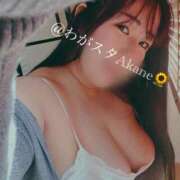 ヒメ日記 2025/09/17 17:01 投稿 あかね★ わがままスタイル