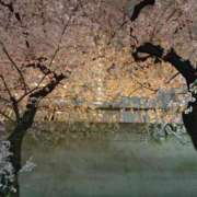 ヒメ日記 2026/04/05 08:44 投稿 あやか★ わがままスタイル