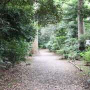 ヒメ日記 2025/11/19 15:22 投稿 ひなの★ わがままスタイル