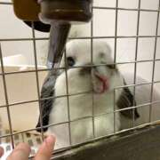 ヒメ日記 2025/07/27 23:28 投稿 ゆりな★ わがままスタイル