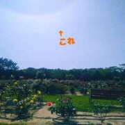 ヒメ日記 2025/06/11 22:01 投稿 桜花(おうか)♥気品と美の原点 美魔女コレクション