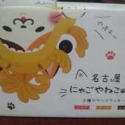 ヒメ日記 2025/06/24 14:36 投稿 桜花(おうか)♥気品と美の原点 美魔女コレクション