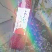 ヒメ日記 2025/06/24 23:34 投稿 桜花(おうか)♥気品と美の原点 美魔女コレクション