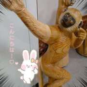 ヒメ日記 2025/09/02 10:38 投稿 桜花(おうか)♥気品と美の原点 美魔女コレクション