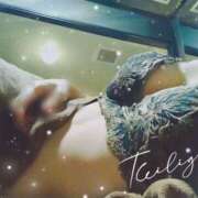 ヒメ日記 2025/09/17 12:43 投稿 桜花(おうか)♥気品と美の原点 美魔女コレクション