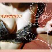 ヒメ日記 2025/10/03 12:50 投稿 桜花(おうか)♥気品と美の原点 美魔女コレクション