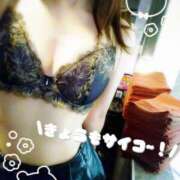 ヒメ日記 2025/11/03 23:19 投稿 桜花(おうか)♥気品と美の原点 美魔女コレクション